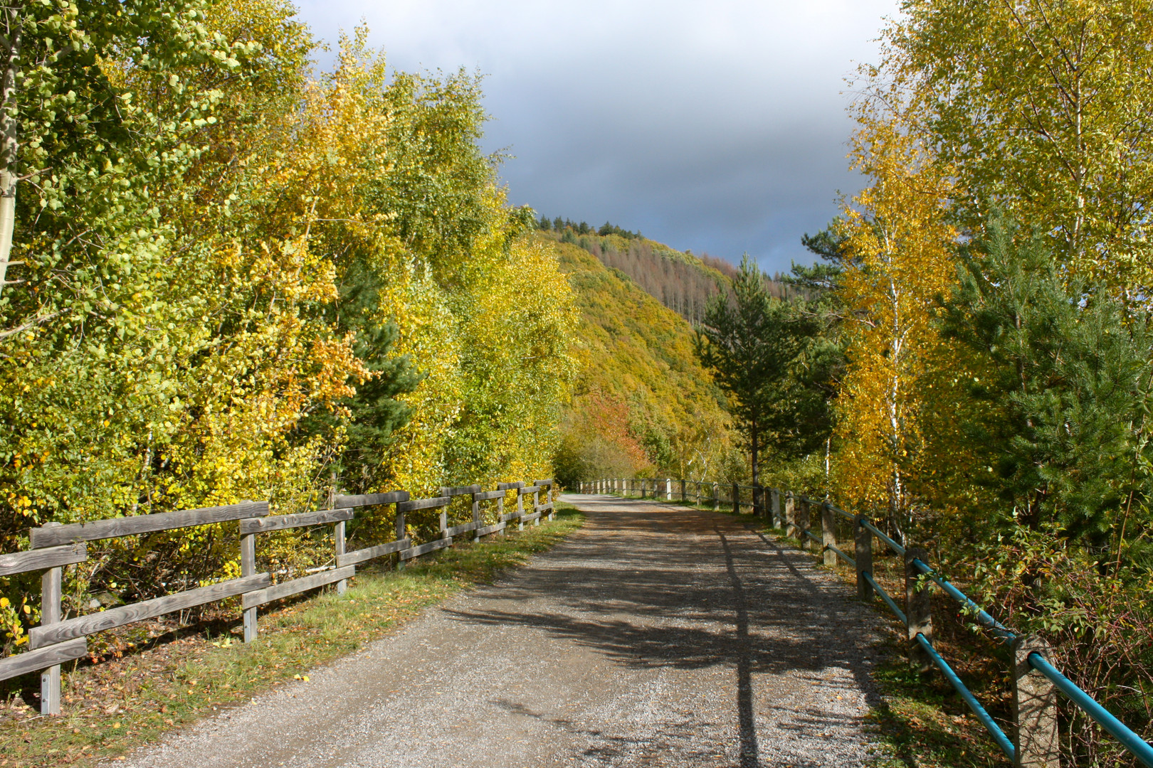 Herbst mit allen Sinnen genissen