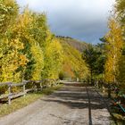 Herbst mit allen Sinnen genissen