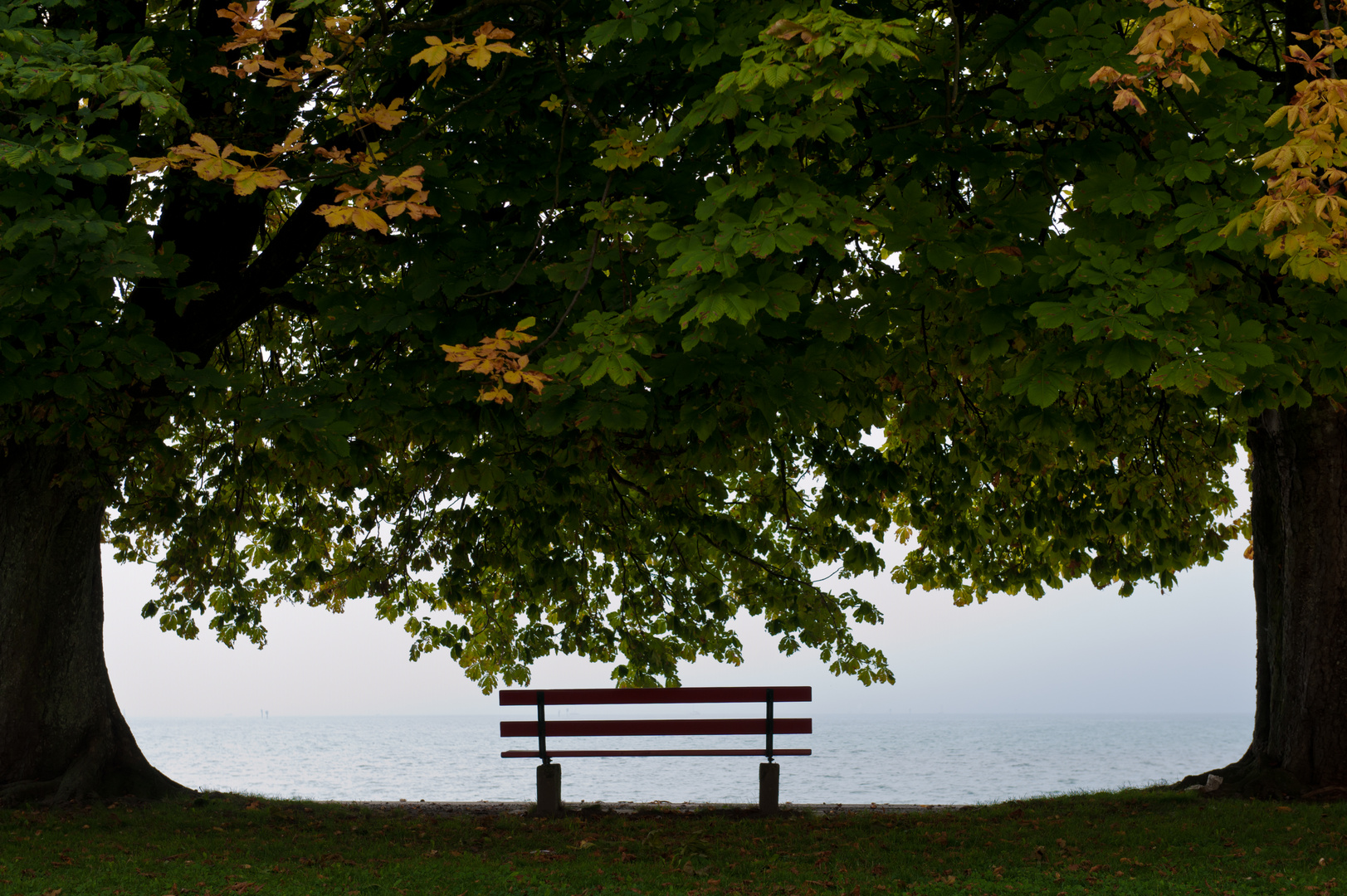 Herbst mit Ausblick auf den Bodensee