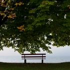 Herbst mit Ausblick auf den Bodensee