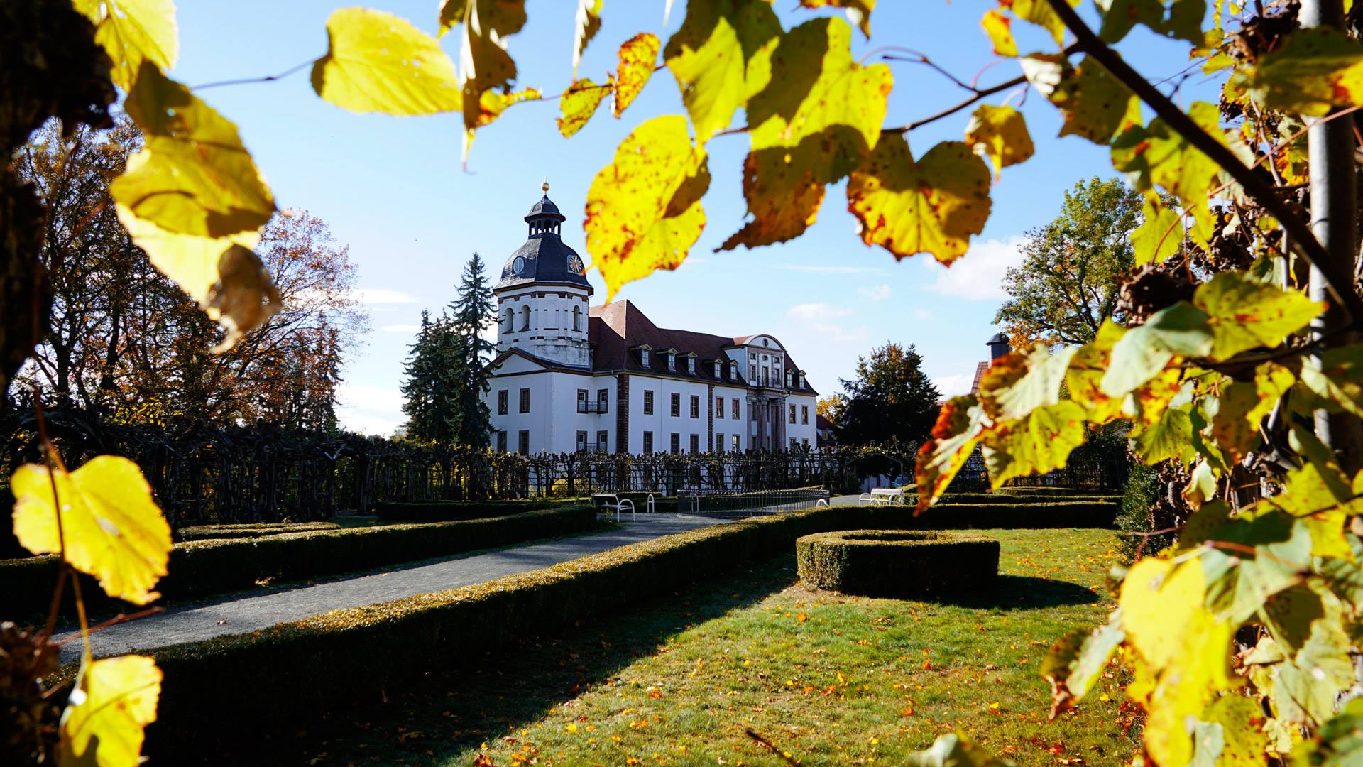 Herbst mit Aussicht