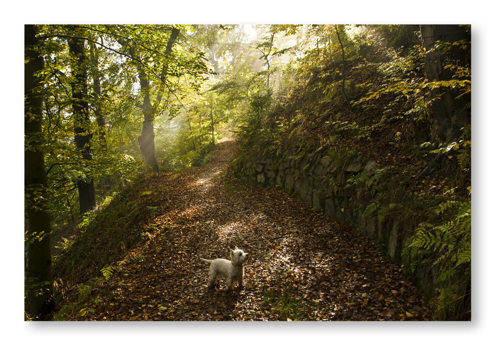 Herbst mit Cindy