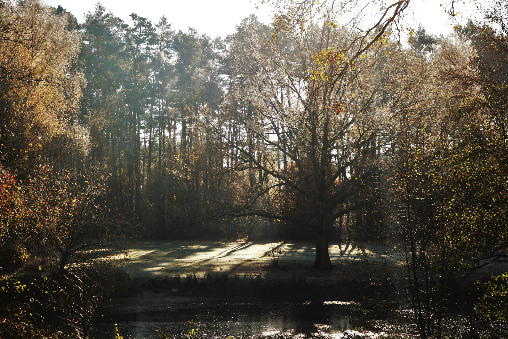 Herbst mit einem Anflug von Winter