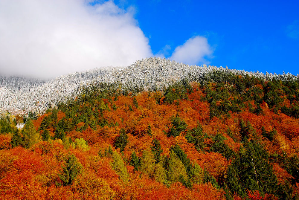 Herbst mit etwas Winter