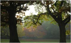 Herbst mit Gegegnlicht