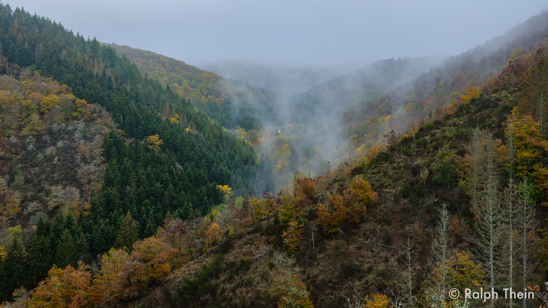 Herbst mit Hochnebel