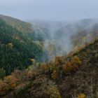 Herbst mit Hochnebel