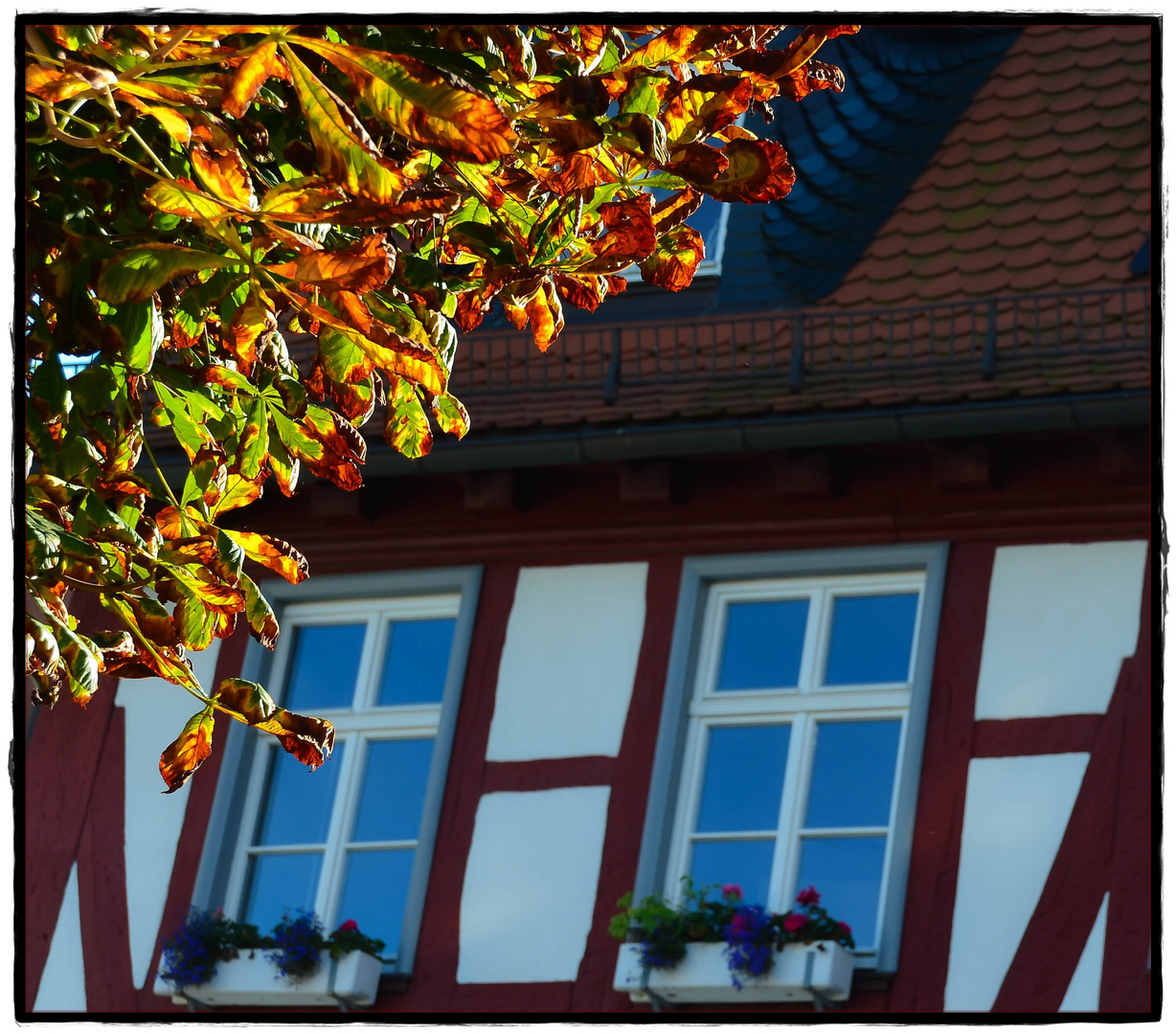 Herbst mit Kastanie und Fachwerk