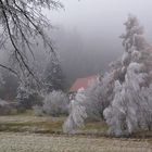 Herbst mit Raureif