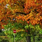 Herbst mit Schild