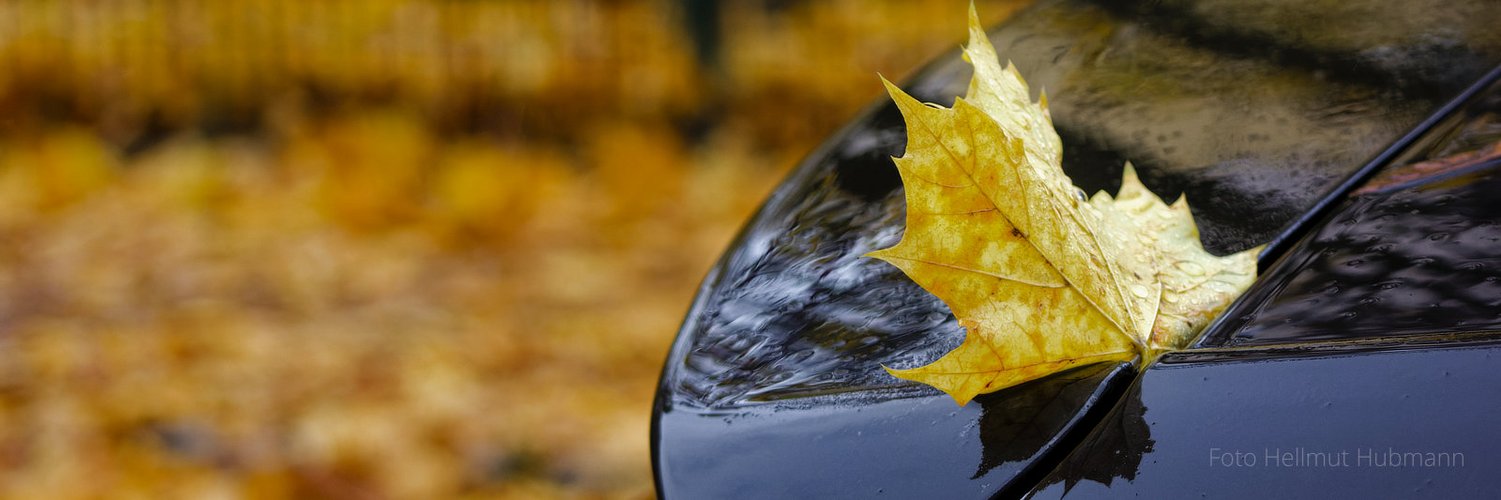 HERBST MIT SCHWARZER SPIEGELUNG