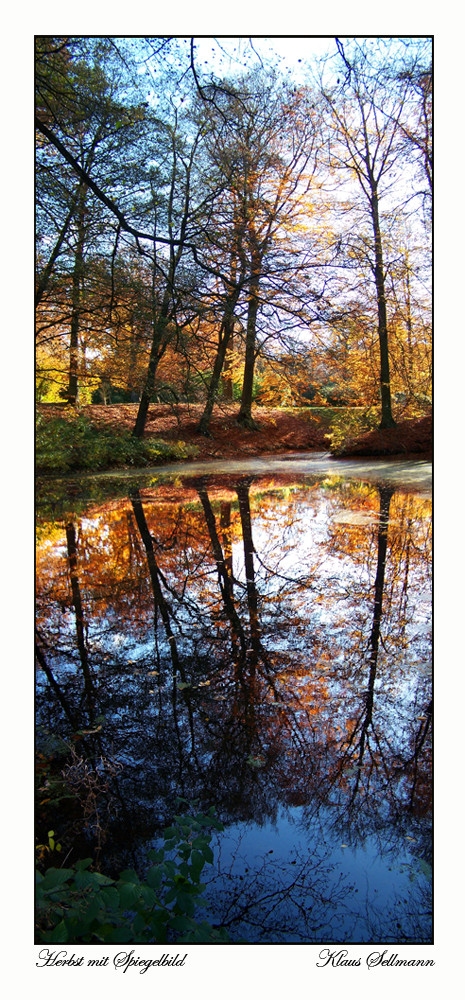 Herbst mit Spiegelbild