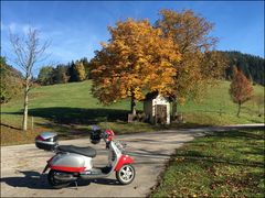 Herbst mit Vespa