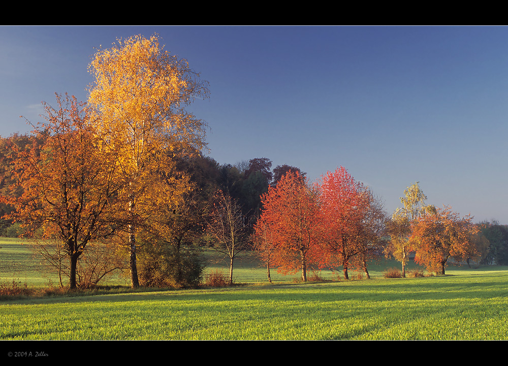 Herbst mit Vollgas