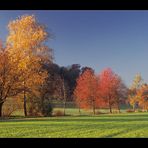 Herbst mit Vollgas