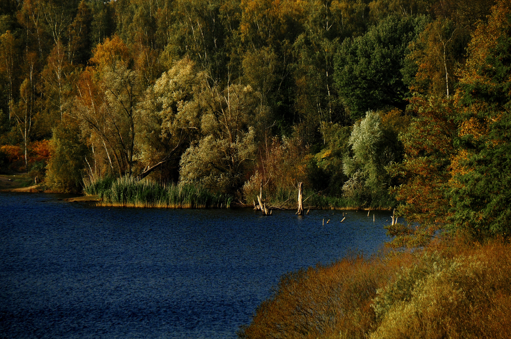 HERBST MIT WIND