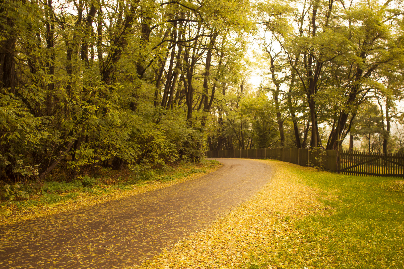 Herbst mit Zeiss