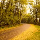 Herbst mit Zeiss