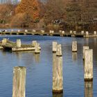 Herbst, mitten im Ruhrgebiet 1