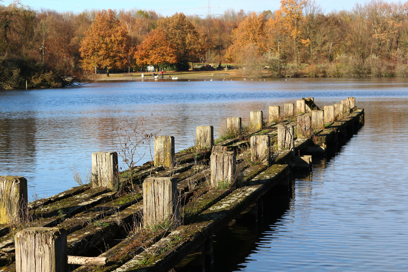 Herbst, mitten im Ruhrgebiet 2