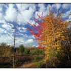 Herbst, mitten in Berlin