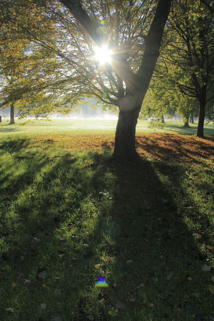 Herbst Morgen