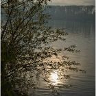 Herbst Morgen am Rhein