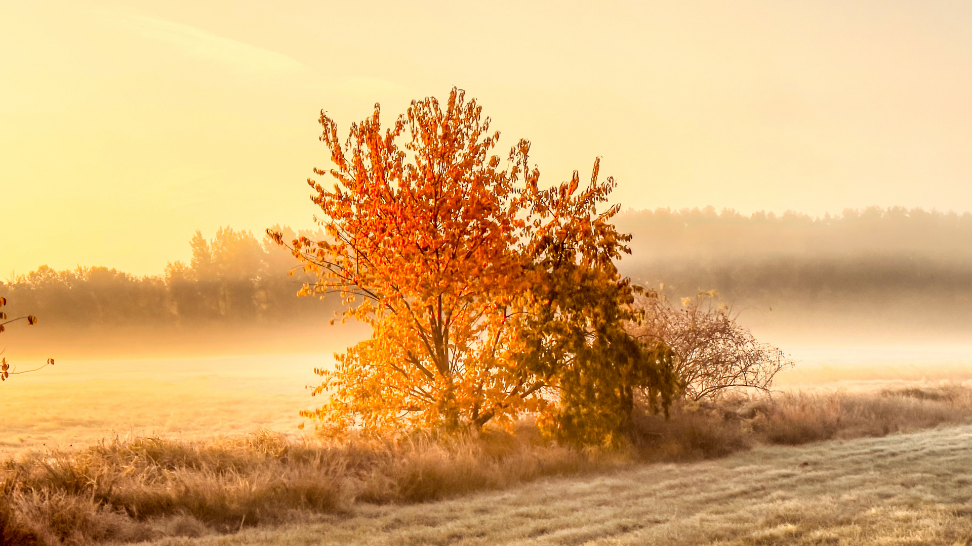 herbst morgen