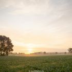 Herbst-Morgen in Brandenburg, Okt. 2019