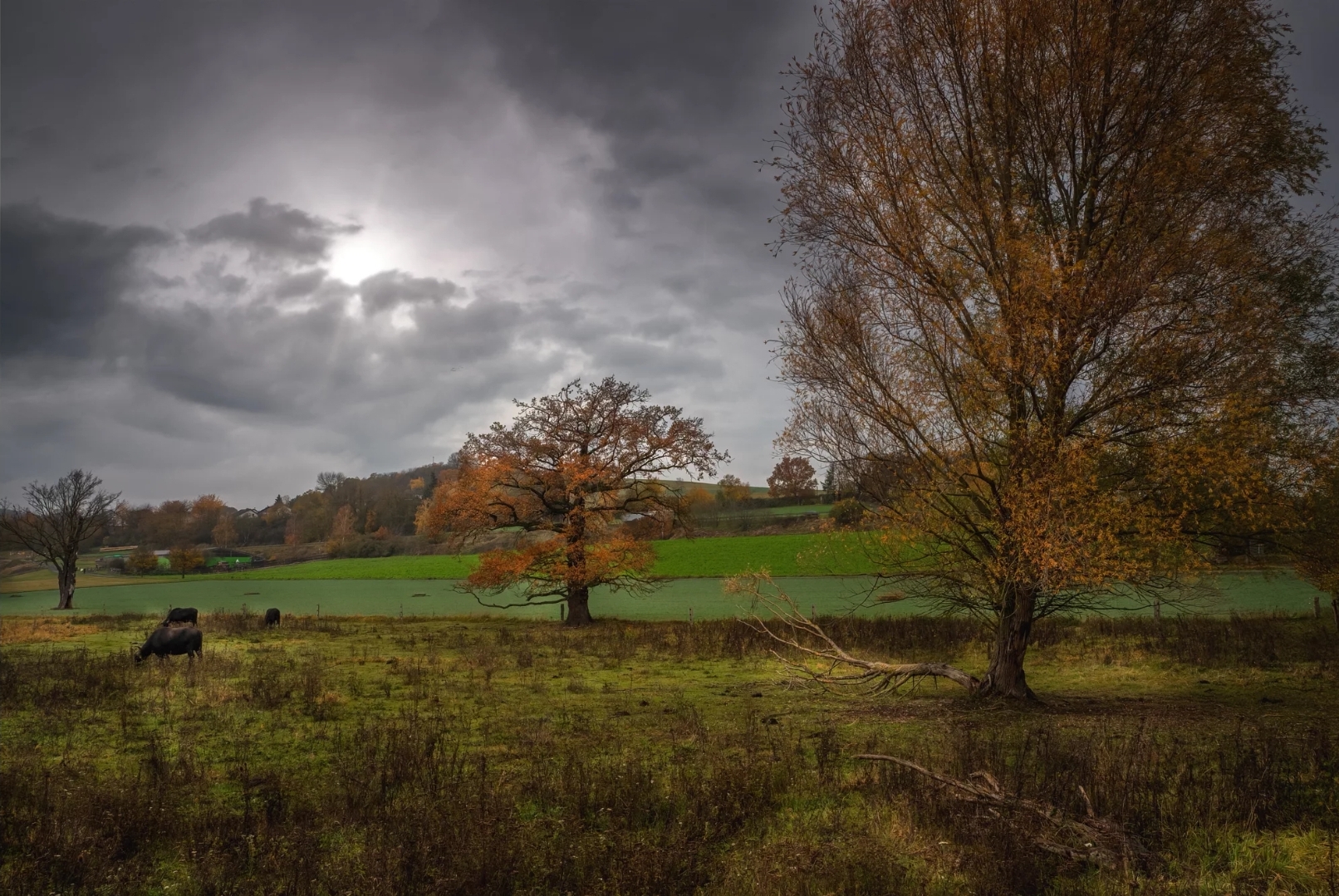 Herbst Morgen in den Thürer Wiesen