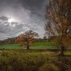 Herbst Morgen in den Thürer Wiesen