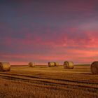 Herbst Morgen in der Eifel