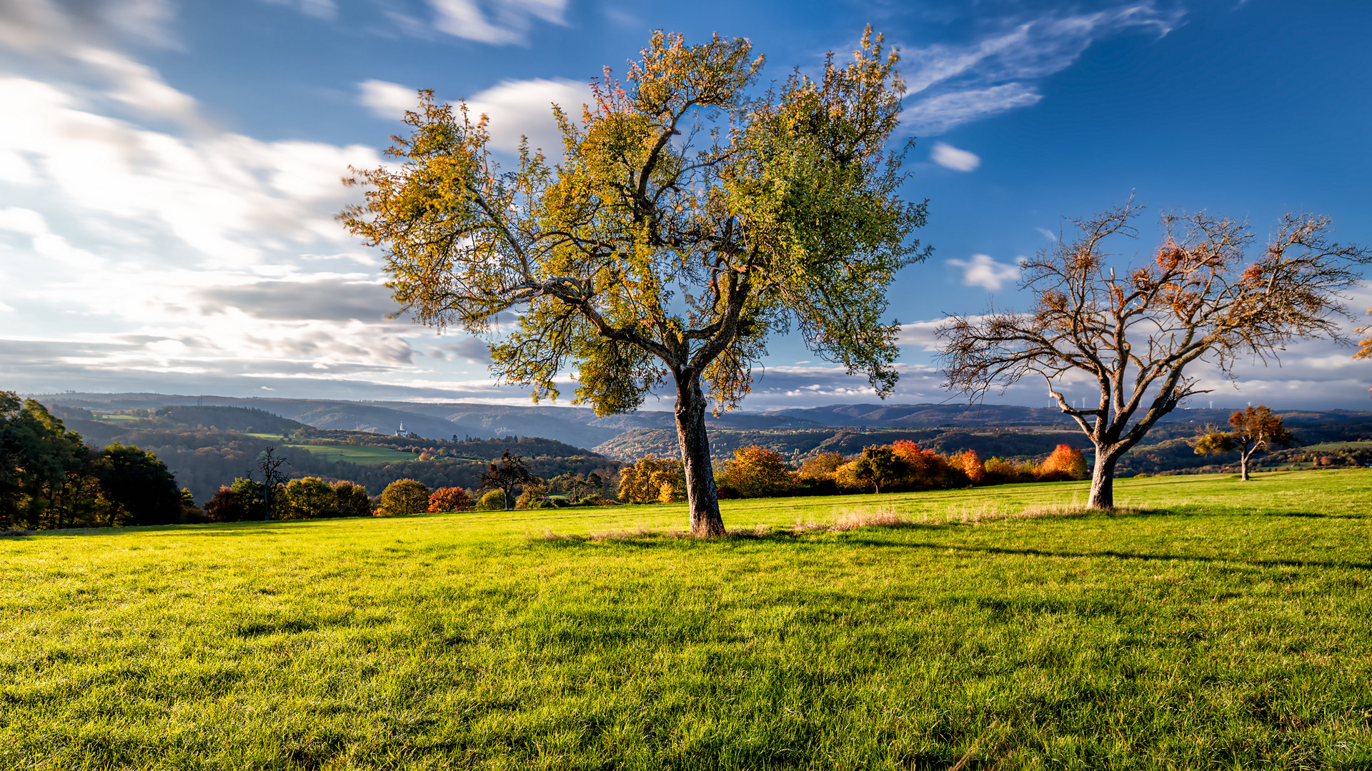 Herbst Morgen über dem Rheintal