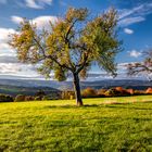 Herbst Morgen über dem Rheintal