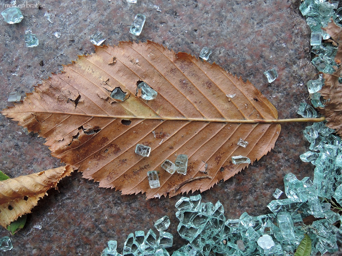 Herbst-Mosaik