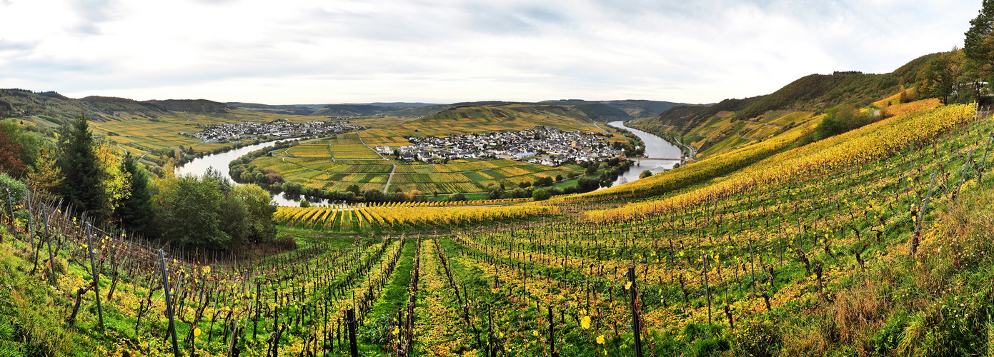 Herbst - Moselschleife - Zummethöhe - Panorama - Trittenheim