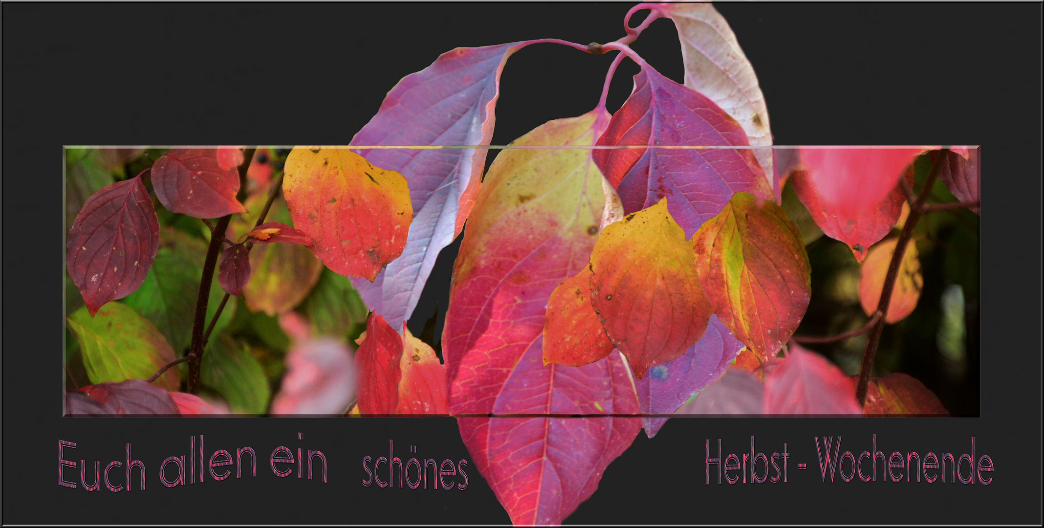 Herbst - Motiv