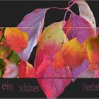 Herbst - Motiv