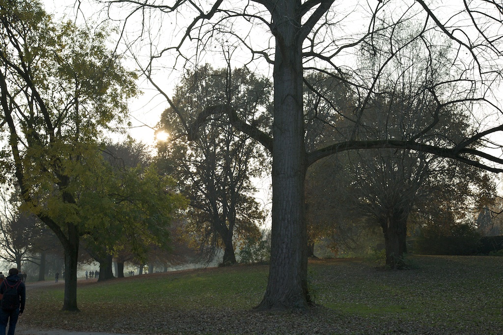 Herbst - Münster