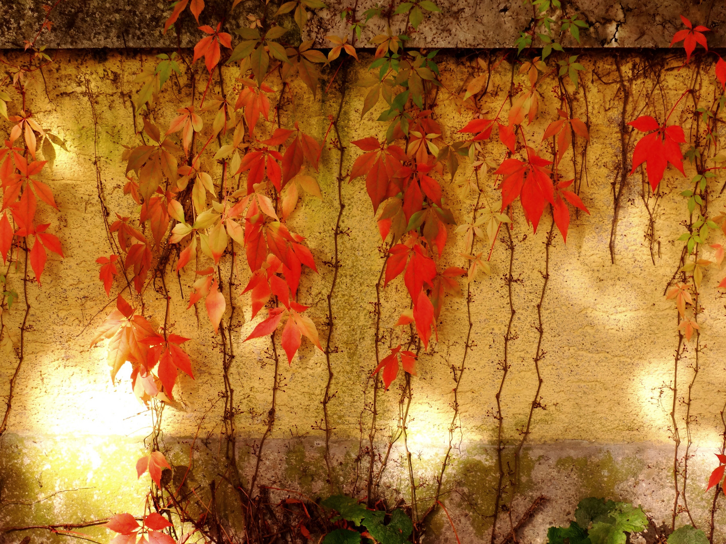 herbst Munchen