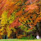 Herbst - Mutter Natur im Farbrausch