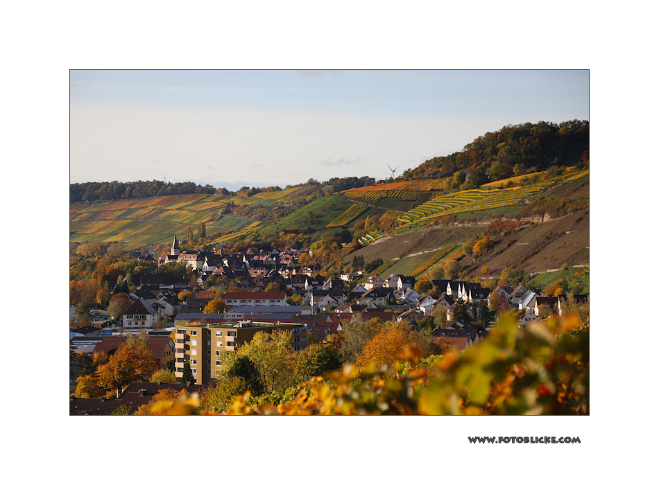 Herbst-Nachlese #2