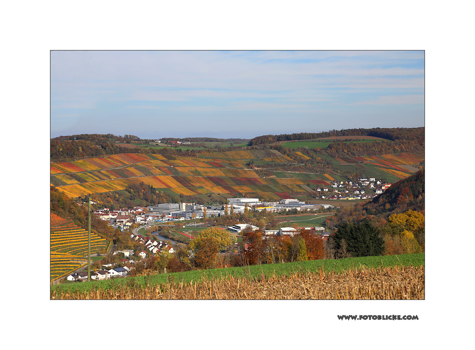 Herbst-Nachlese #5