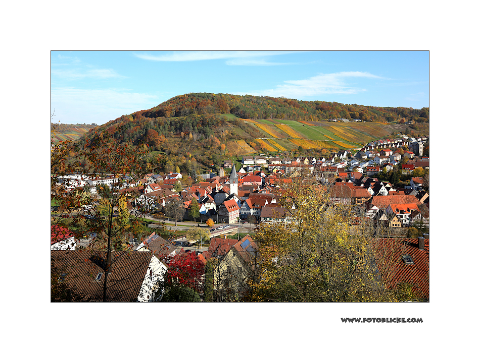 Herbst-Nachlese #8