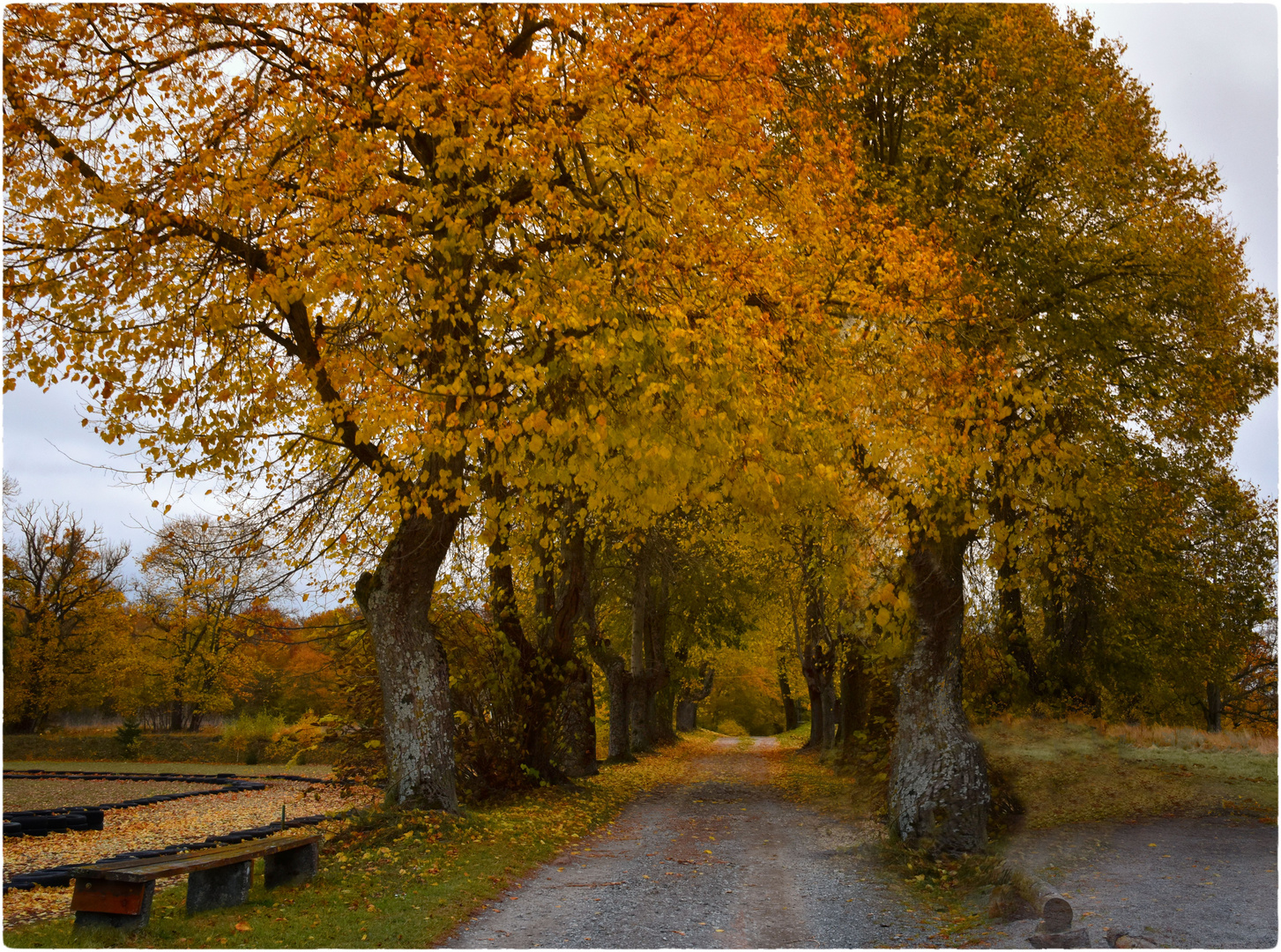 Herbst-Nachmittag