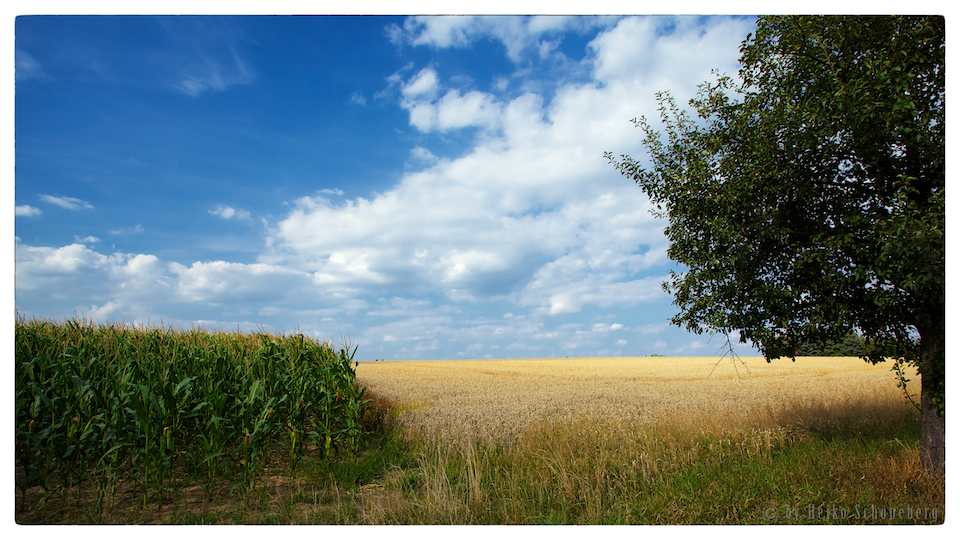 Herbst naht...