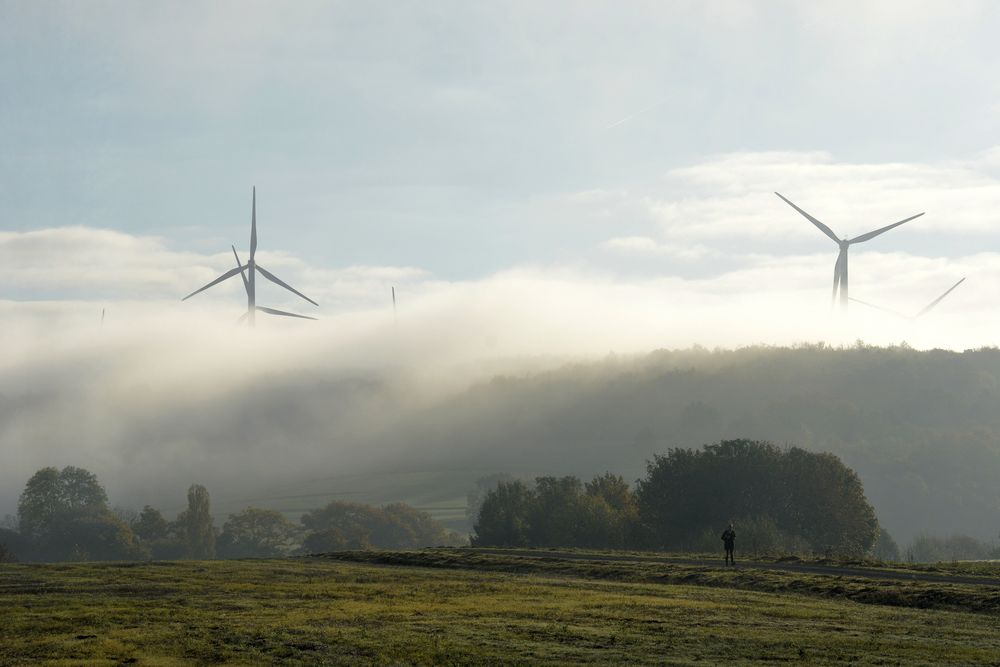 Herbst - Nebel....