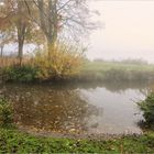 Herbst - NEBEL -2-