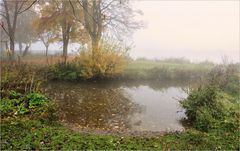 Herbst - NEBEL -2-