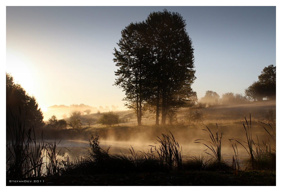 Herbst-Nebel 2011